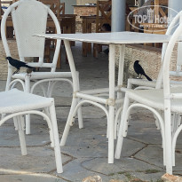 фото из отзыва ID 2575703