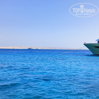 фото из отзыва ID 2575749