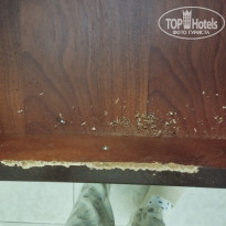 фото из отзыва ID 2575754