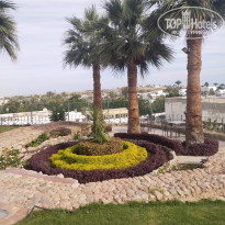 фото из отзыва ID 2575556