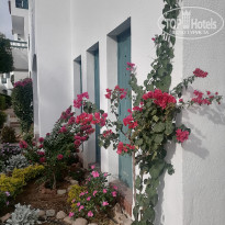 фото из отзыва ID 2575556