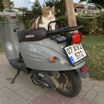 фото из отзыва ID 2575763