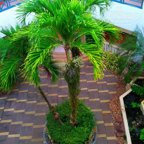 фото из отзыва ID 2575883
