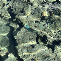 фото из отзыва ID 2575895