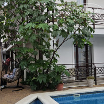 фото из отзыва ID 2575955