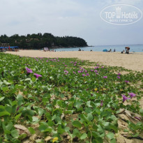 фото из отзыва ID 2576029