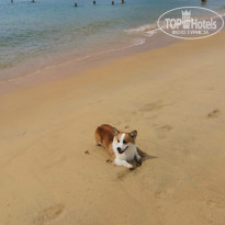 фото из отзыва ID 2576029