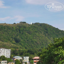 фото из отзыва ID 2576029