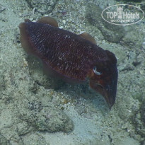 фото из отзыва ID 2576029