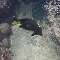 фото из отзыва ID 2576029