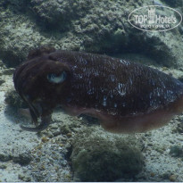 фото из отзыва ID 2576029