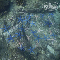 фото из отзыва ID 2576029