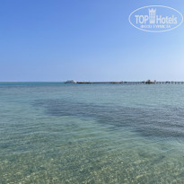 фото из отзыва ID 2576158