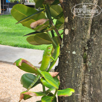 фото из отзыва ID 2576185