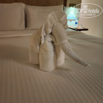 фото из отзыва ID 2576185