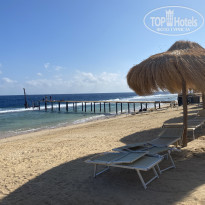 фото из отзыва ID 2576200