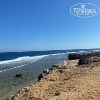 фото из отзыва ID 2576200