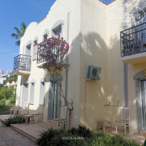 фото из отзыва ID 2576208