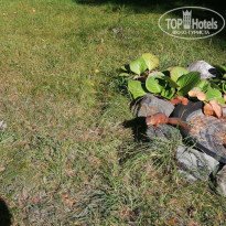 фото из отзыва ID 2576243