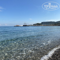 фото из отзыва ID 2576294