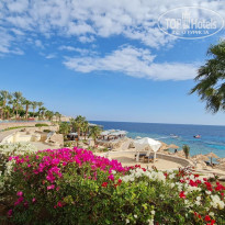 фото из отзыва ID 2576305