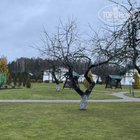 фото из отзыва ID 2576337