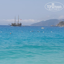 фото из отзыва ID 2576392