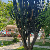 фото из отзыва ID 2576392