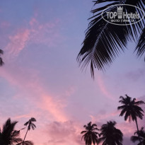 фото из отзыва ID 2576456