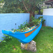 фото из отзыва ID 2576456