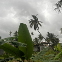 фото из отзыва ID 2576456