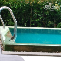 фото из отзыва ID 2576512