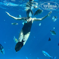 фото из отзыва ID 2576535