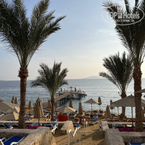 фото из отзыва ID 2576535