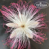 фото из отзыва ID 2575061