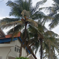 фото из отзыва ID 2576644