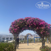 фото из отзыва ID 2576703