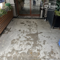 фото из отзыва ID 2576500