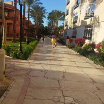 фото из отзыва ID 2576788