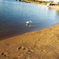 фото из отзыва ID 2576788