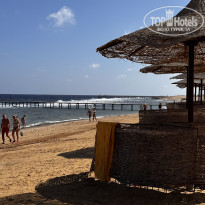 фото из отзыва ID 2576848