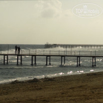 фото из отзыва ID 2576848