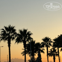 фото из отзыва ID 2576956