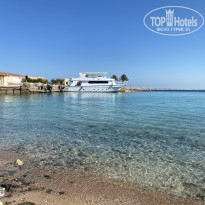 фото из отзыва ID 2577027