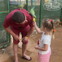 фото из отзыва ID 2577057