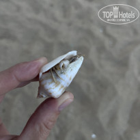 фото из отзыва ID 2577057