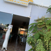 фото из отзыва ID 2577145