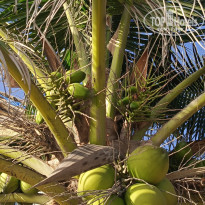 фото из отзыва ID 2577373