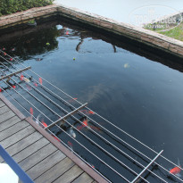 фото из отзыва ID 2577434