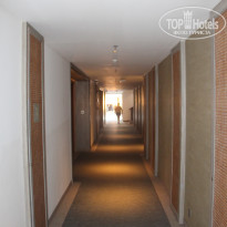 фото из отзыва ID 2577434